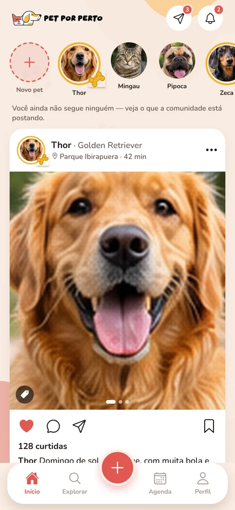 Feed